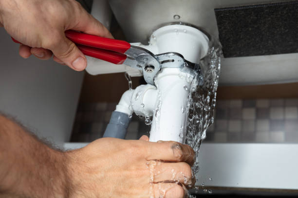 Best Professional water damage repair  in Greenfield, IA