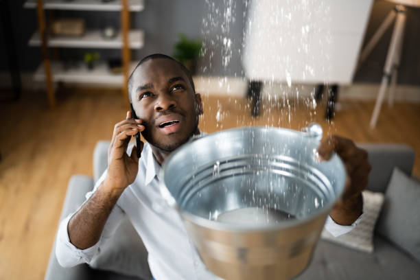 Reliable IA Water damage restoration Solutions