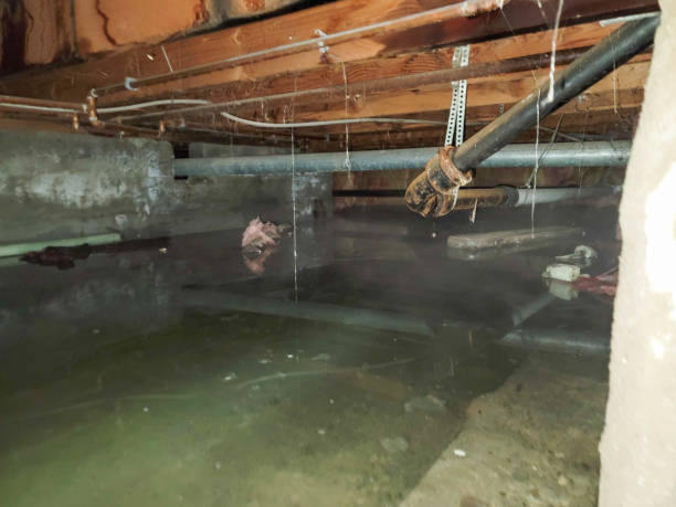 Best Water damage restoration experts  in Greenfield, IA