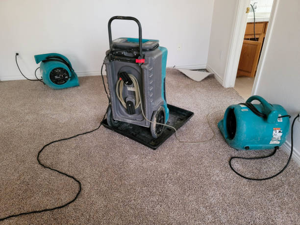 Best Water damage restoration near me  in Greenfield, IA
