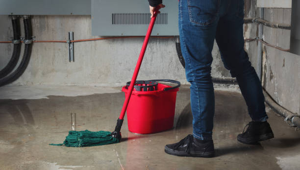 Best Commercial water damage restoration  in Greenfield, IA