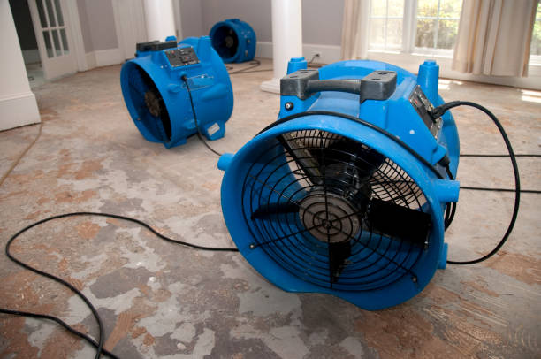 Best Mold removal after water damage  in Greenfield, IA