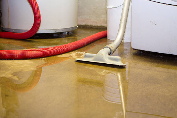Best Water damage contractors near me  in Greenfield, IA