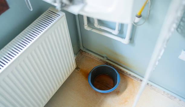 Best Water damage cleanup near me  in Greenfield, IA