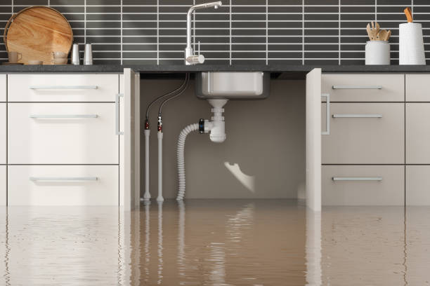Best Water damage restoration company  in Greenfield, IA