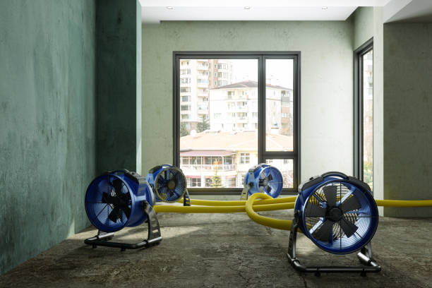 Best Ceiling water damage repair  in Greenfield, IA