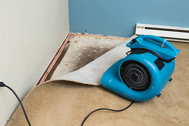 Best Sewage cleanup and water damage restoration  in Greenfield, IA